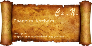 Csernus Norbert névjegykártya